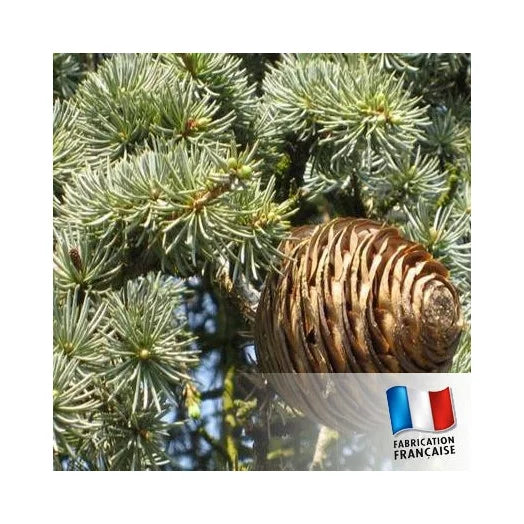 Les Boisés Mes plaisirs parfumés